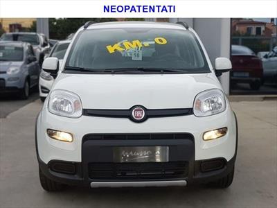 Fiat Panda 1.2 Pop, Anno 2012, KM 59226 - główne zdjęcie